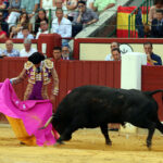 Valladolid - Corrida de toros - Sábado 8 de septiembre de 2018