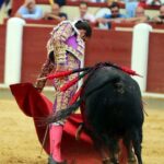 Valladolid - Corrida de toros - Sábado 8 de septiembre de 2018