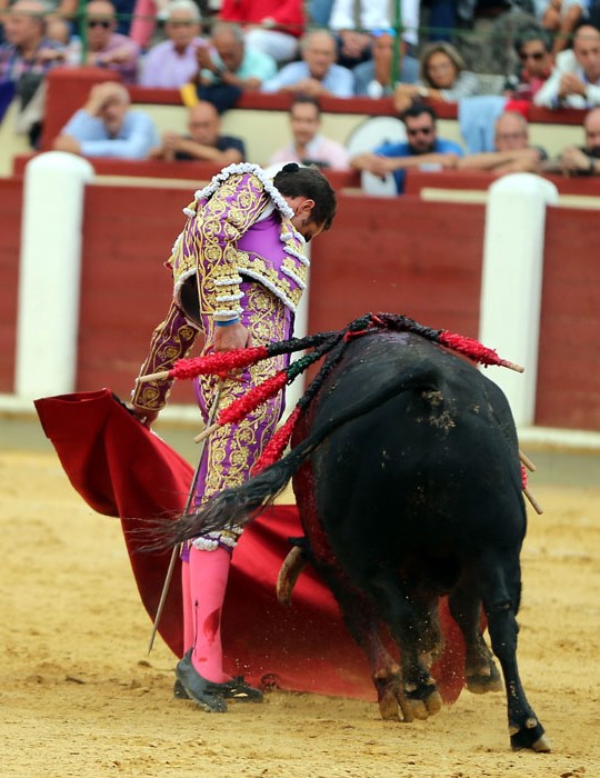 Valladolid - Corrida de toros - Sábado 8 de septiembre de 2018