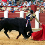 Valladolid - Corrida de toros - Sábado 8 de septiembre de 2018