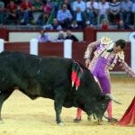 Valladolid - Corrida de toros - Sábado 8 de septiembre de 2018