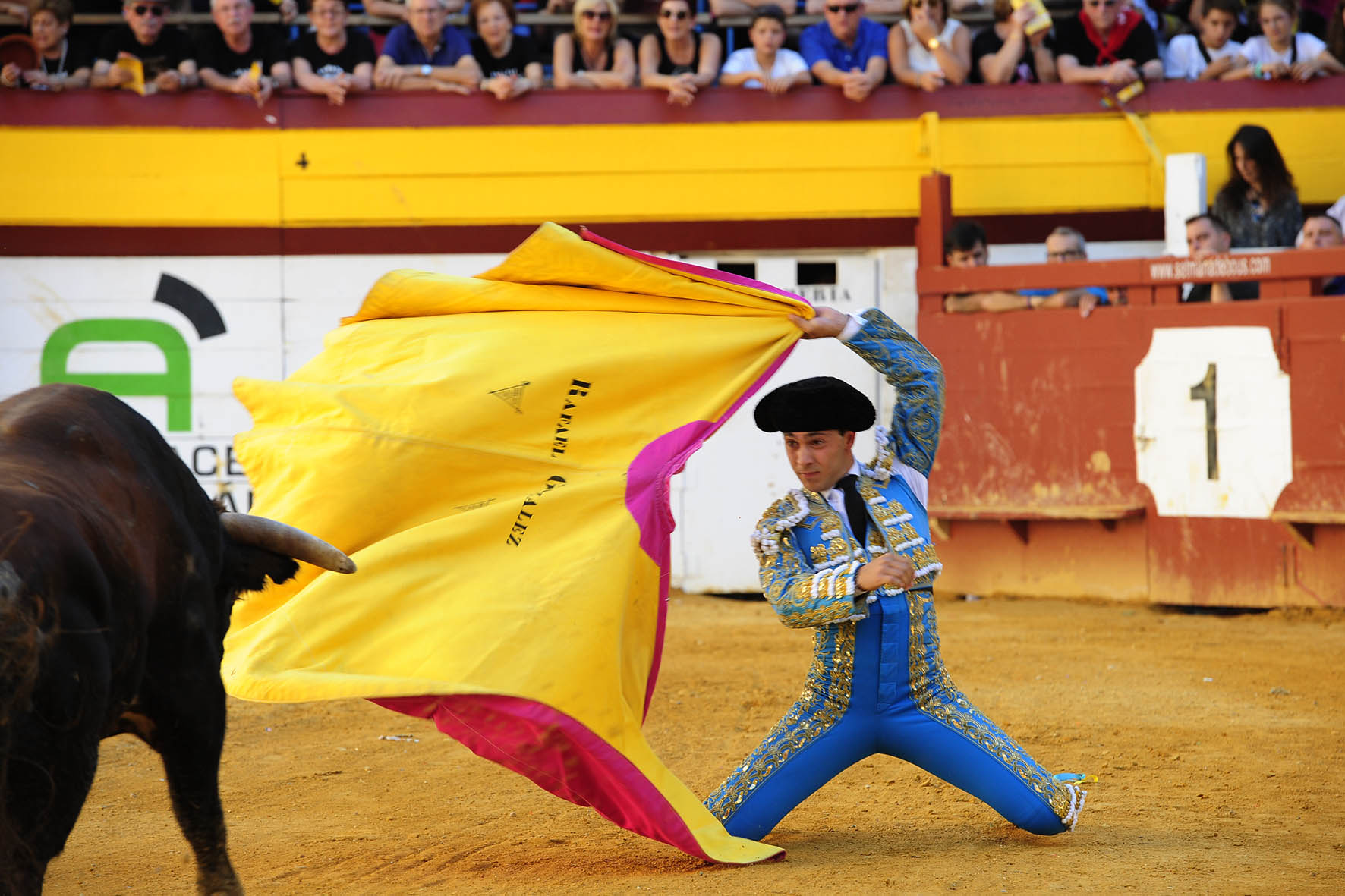 Algemesí (Valencia) - Novillada - Viernes 28 de septiembre de 2018