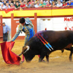 Algemesí (Valencia) - Novillada - Viernes 28 de septiembre de 2018