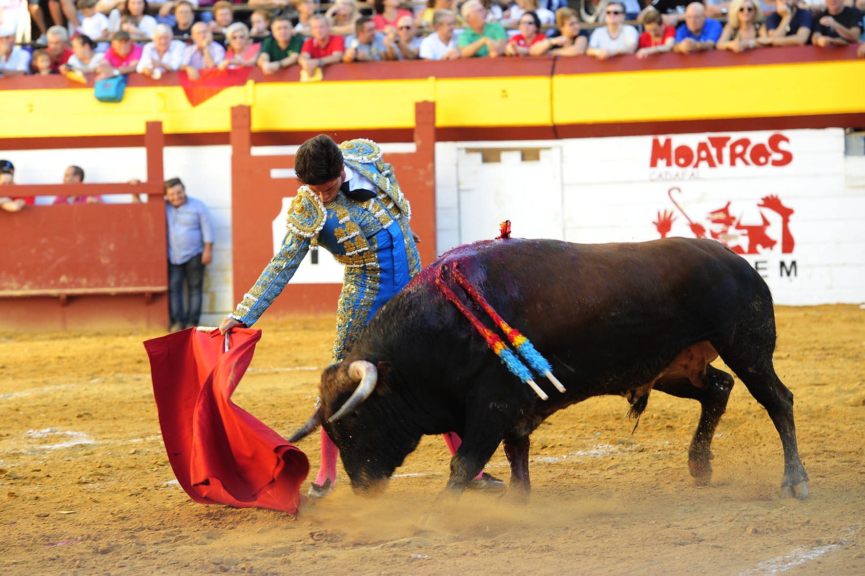 Algemesí (Valencia) - Novillada - Viernes 28 de septiembre de 2018