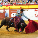 Algemesí (Valencia) - Novillada - Viernes 28 de septiembre de 2018