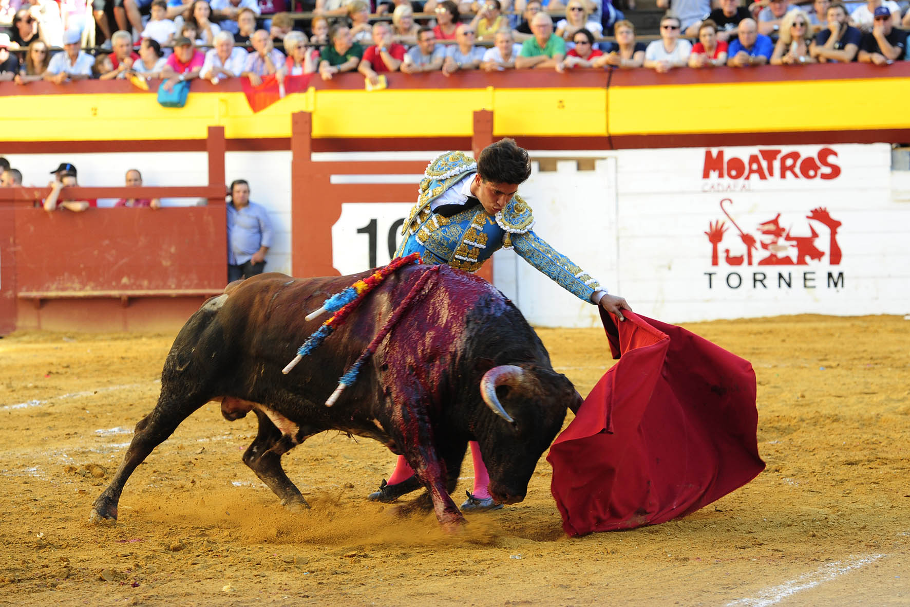 Algemesí (Valencia) - Novillada - Viernes 28 de septiembre de 2018