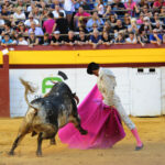 Algemesí (Valencia) - Novillada - Viernes 28 de septiembre de 2018