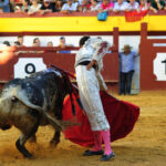 Algemesí (Valencia) - Novillada - Viernes 28 de septiembre de 2018