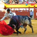 Algemesí (Valencia) - Novillada - Viernes 28 de septiembre de 2018