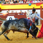 Algemesí (Valencia) - Novillada - Viernes 28 de septiembre de 2018