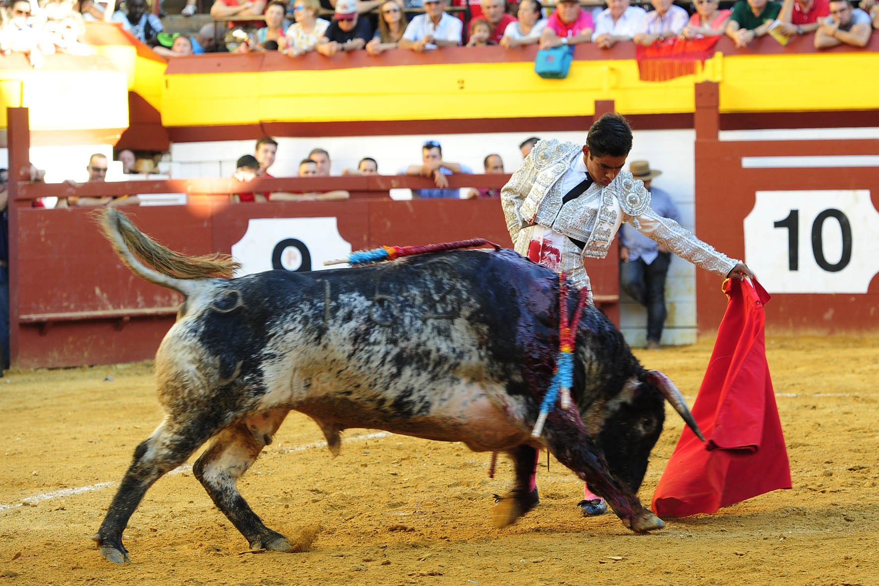 Algemesí (Valencia) - Novillada - Viernes 28 de septiembre de 2018