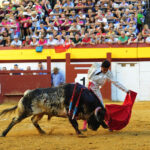 Algemesí (Valencia) - Novillada - Viernes 28 de septiembre de 2018