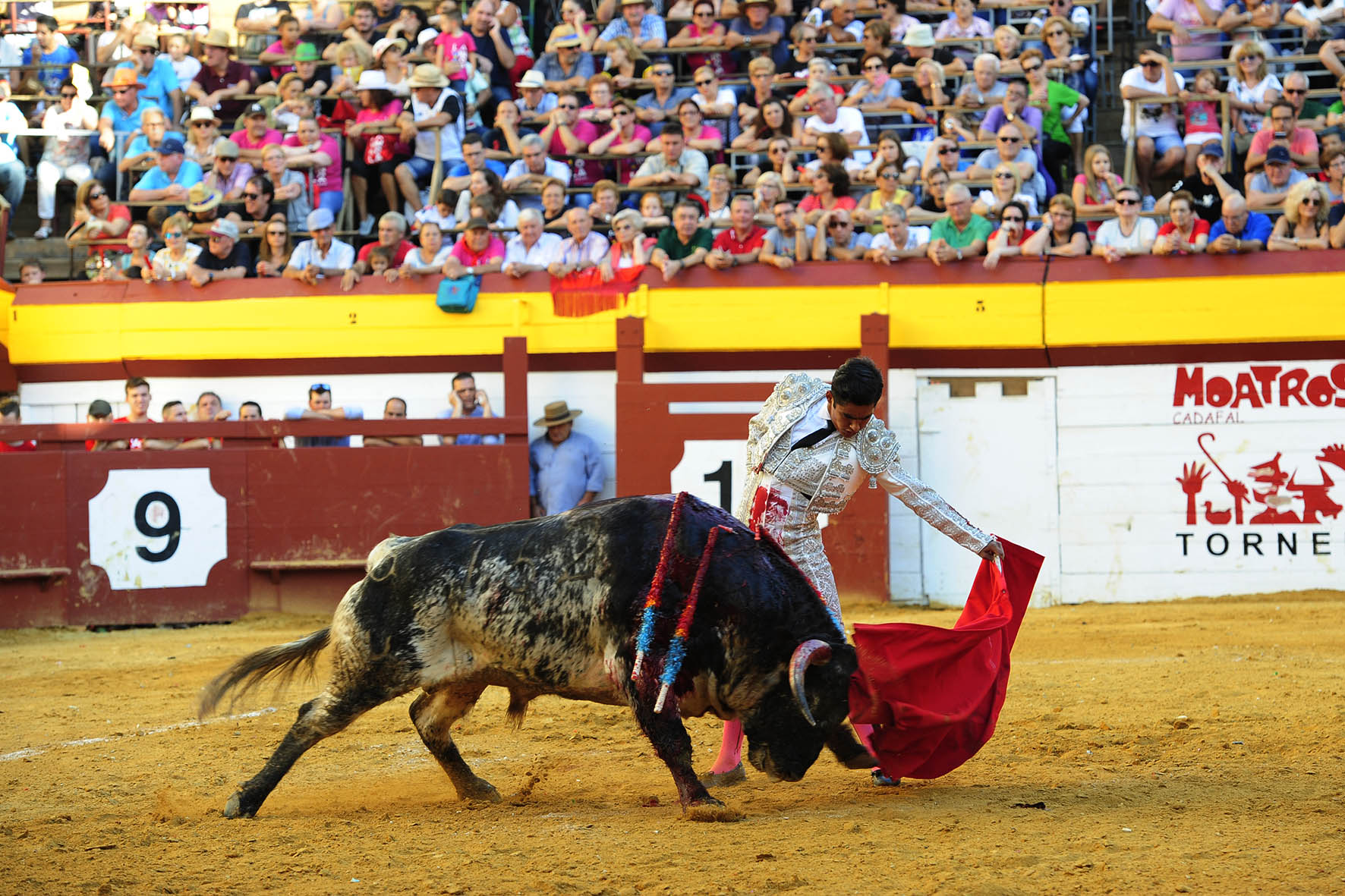 Algemesí (Valencia) - Novillada - Viernes 28 de septiembre de 2018