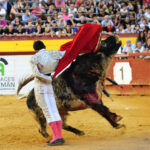 Algemesí (Valencia) - Novillada - Viernes 28 de septiembre de 2018