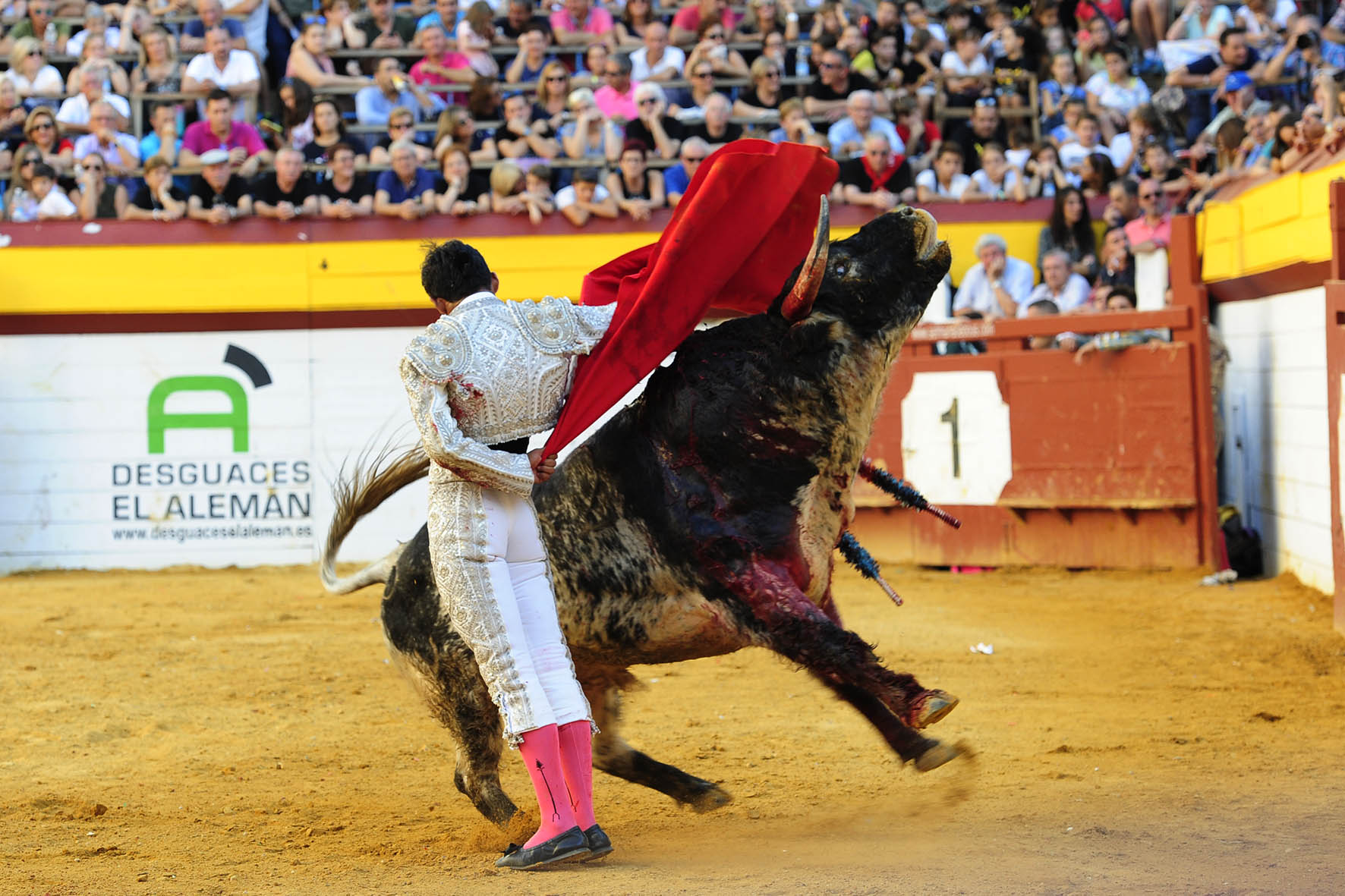 Algemesí (Valencia) - Novillada - Viernes 28 de septiembre de 2018