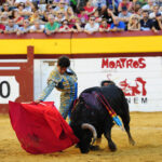 Algemesí (Valencia) - Novillada - Viernes 28 de septiembre de 2018