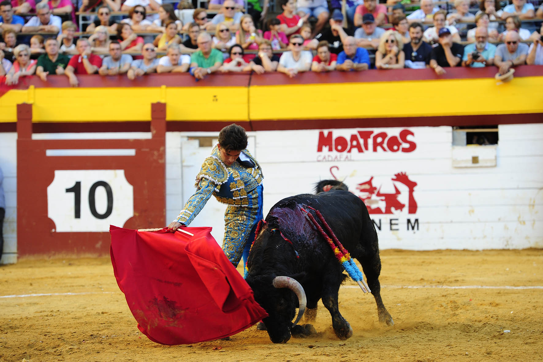 Algemesí (Valencia) - Novillada - Viernes 28 de septiembre de 2018