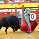 Algemesí (Valencia) - Novillada - Viernes 28 de septiembre de 2018