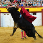 Algemesí (Valencia) - Novillada - Viernes 28 de septiembre de 2018