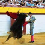 Algemesí (Valencia) - Novillada - Viernes 28 de septiembre de 2018