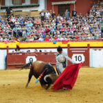 Algemesí (Valencia) - Novillada - Viernes 28 de septiembre de 2018