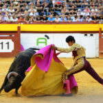 Algemesí (Valencia) - Novillada - Sábado 29 de septiembre de 2018