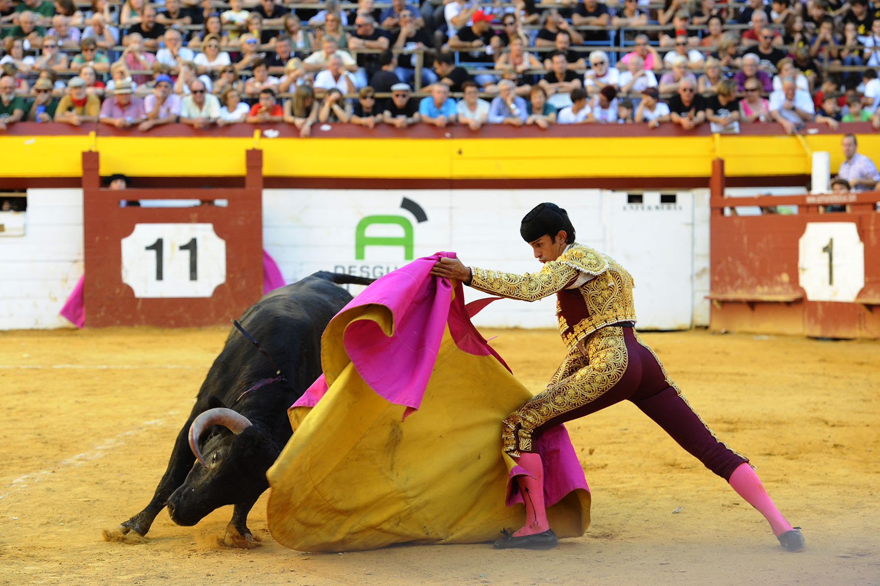 Algemesí (Valencia) - Novillada - Sábado 29 de septiembre de 2018