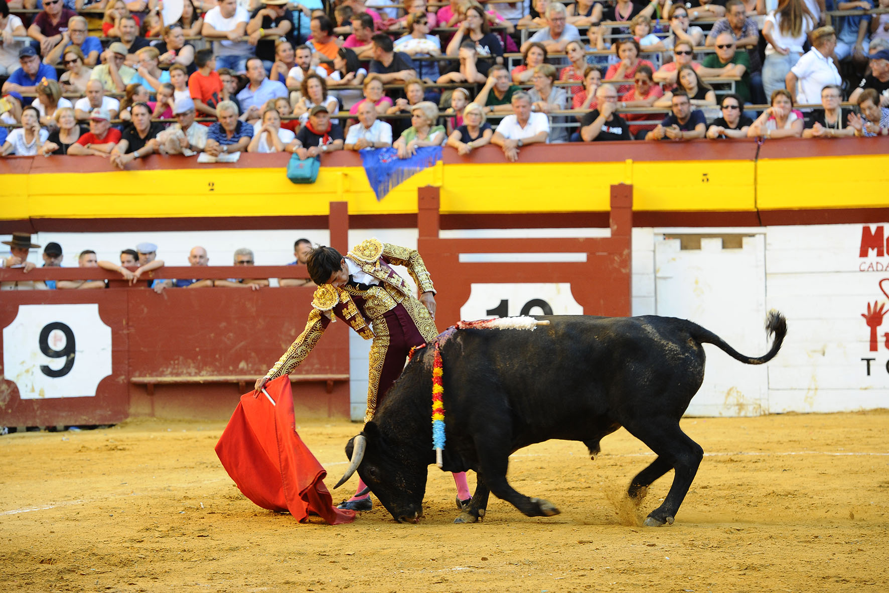 Algemesí (Valencia) - Novillada - Sábado 29 de septiembre de 2018