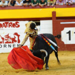 Algemesí (Valencia) - Novillada - Sábado 29 de septiembre de 2018