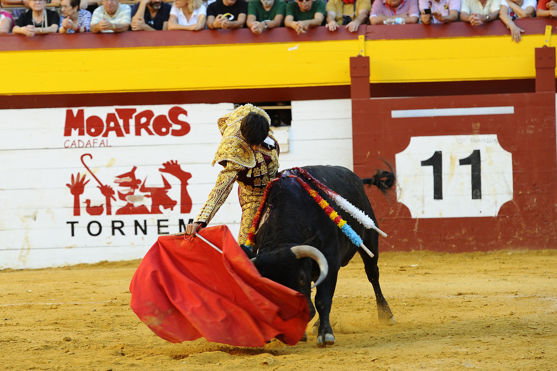 Algemesí (Valencia) - Novillada - Sábado 29 de septiembre de 2018