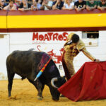 Algemesí (Valencia) - Novillada - Sábado 29 de septiembre de 2018