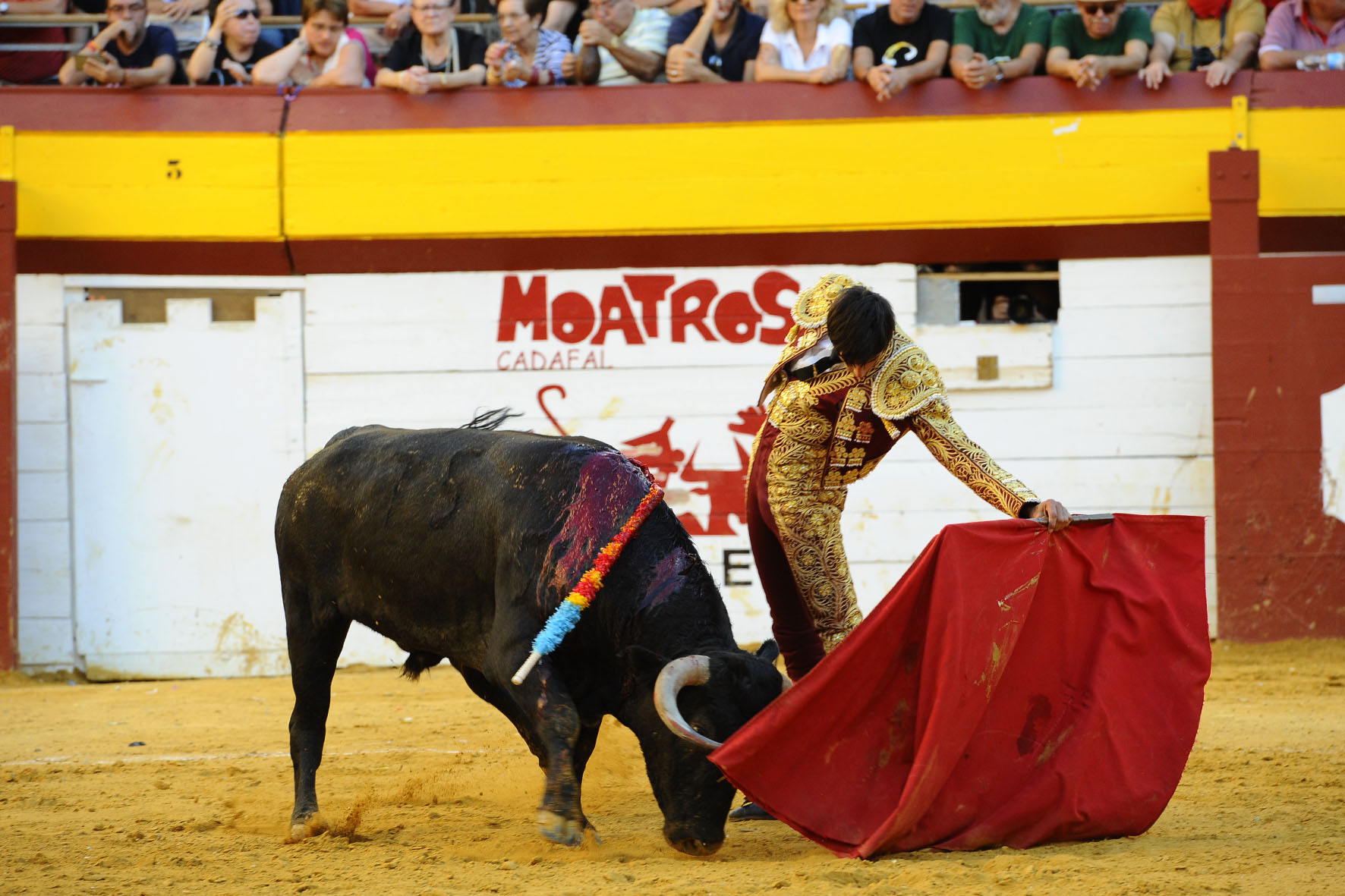 Algemesí (Valencia) - Novillada - Sábado 29 de septiembre de 2018