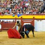 Algemesí (Valencia) - Novillada - Sábado 29 de septiembre de 2018