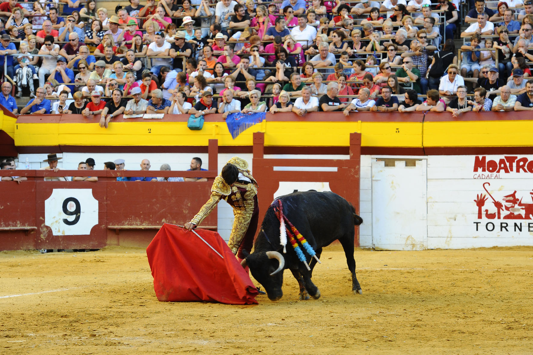 Algemesí (Valencia) - Novillada - Sábado 29 de septiembre de 2018