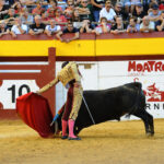 Algemesí (Valencia) - Novillada - Sábado 29 de septiembre de 2018