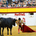 Algemesí (Valencia) - Novillada - Sábado 29 de septiembre de 2018