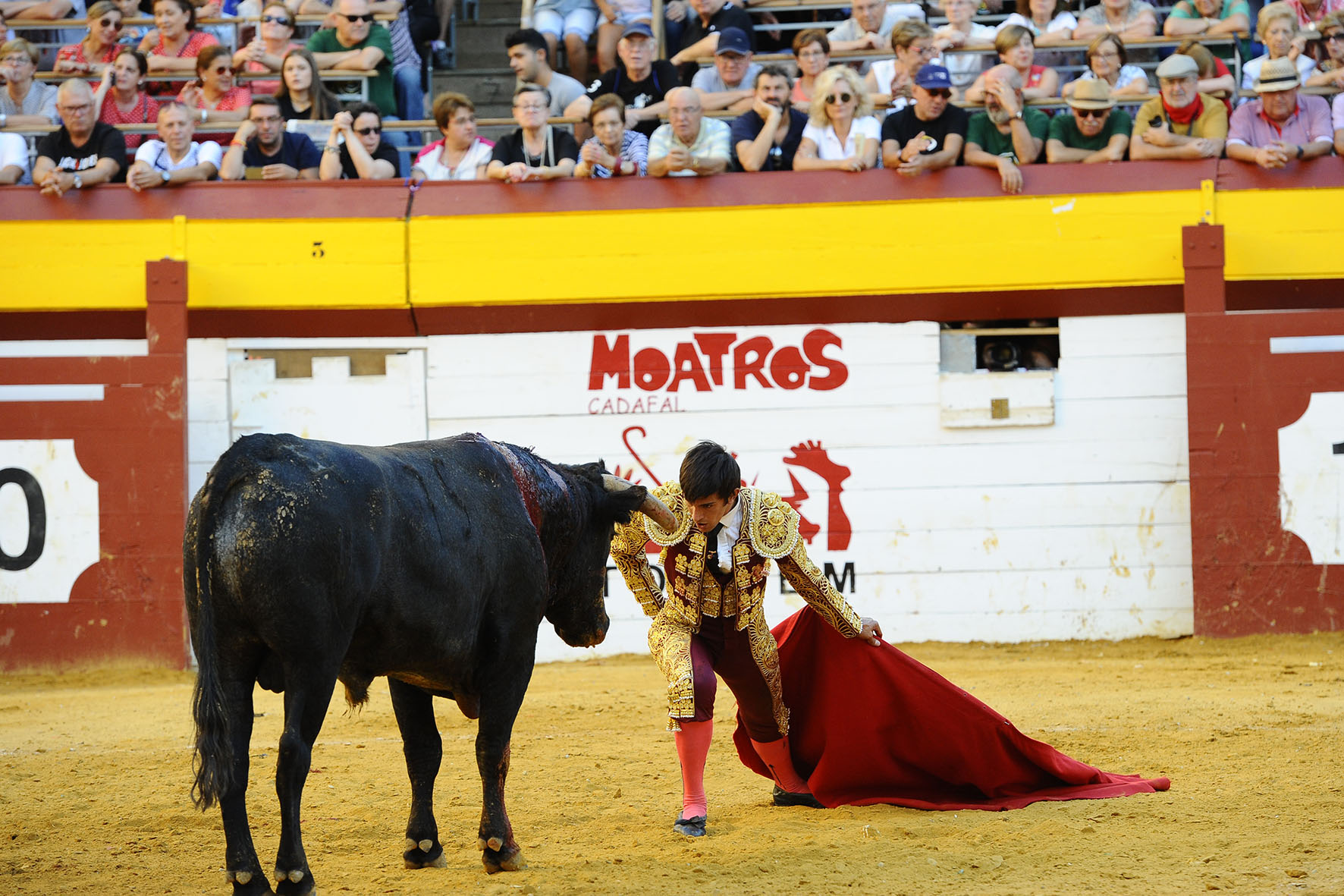 Algemesí (Valencia) - Novillada - Sábado 29 de septiembre de 2018