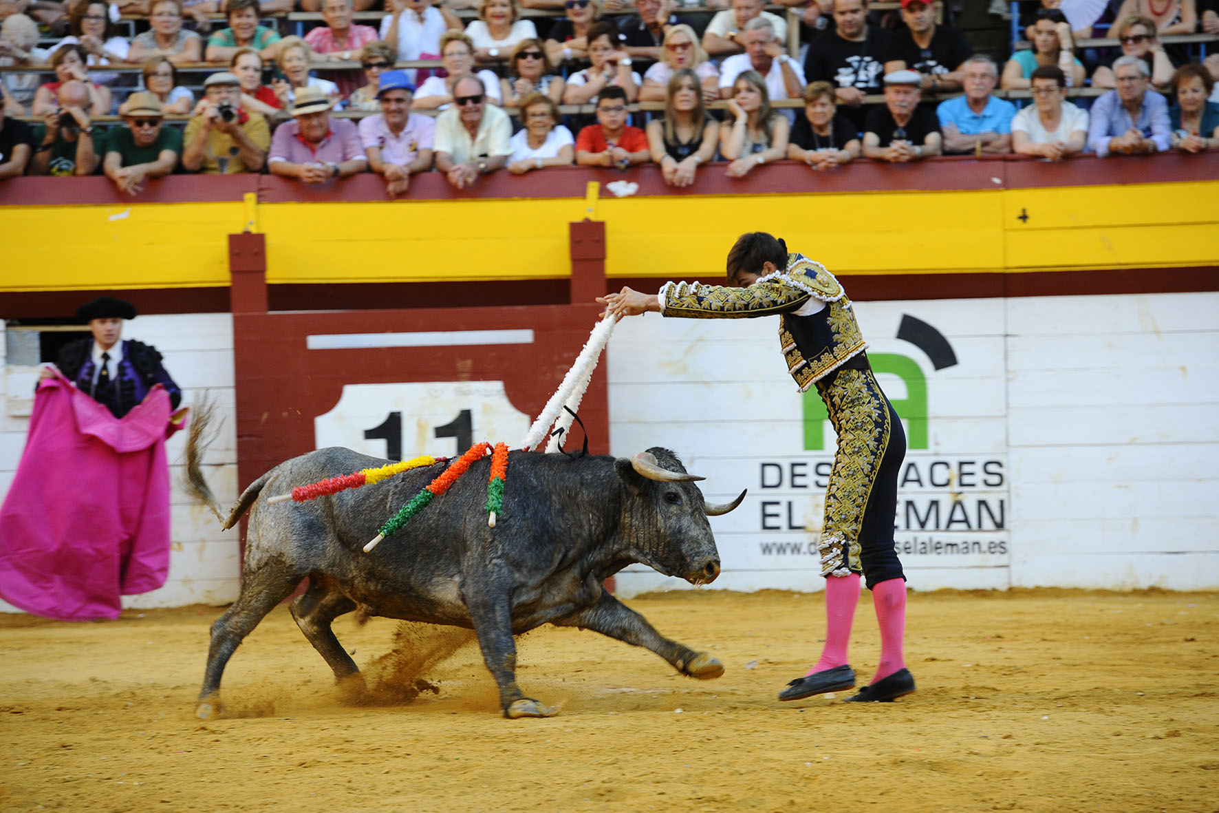 Algemesí (Valencia) - Novillada - Sábado 29 de septiembre de 2018