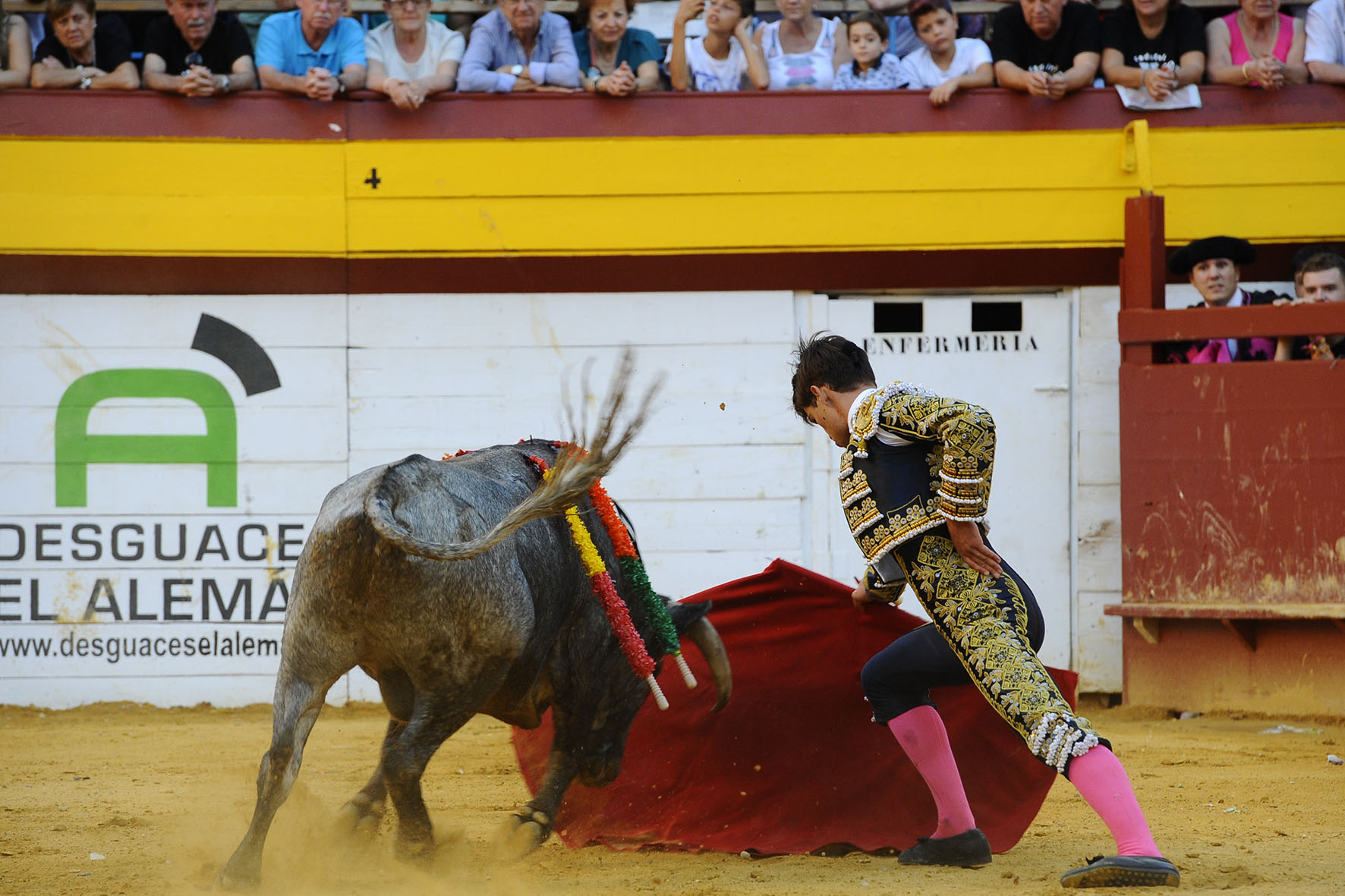 Algemesí (Valencia) - Novillada - Sábado 29 de septiembre de 2018