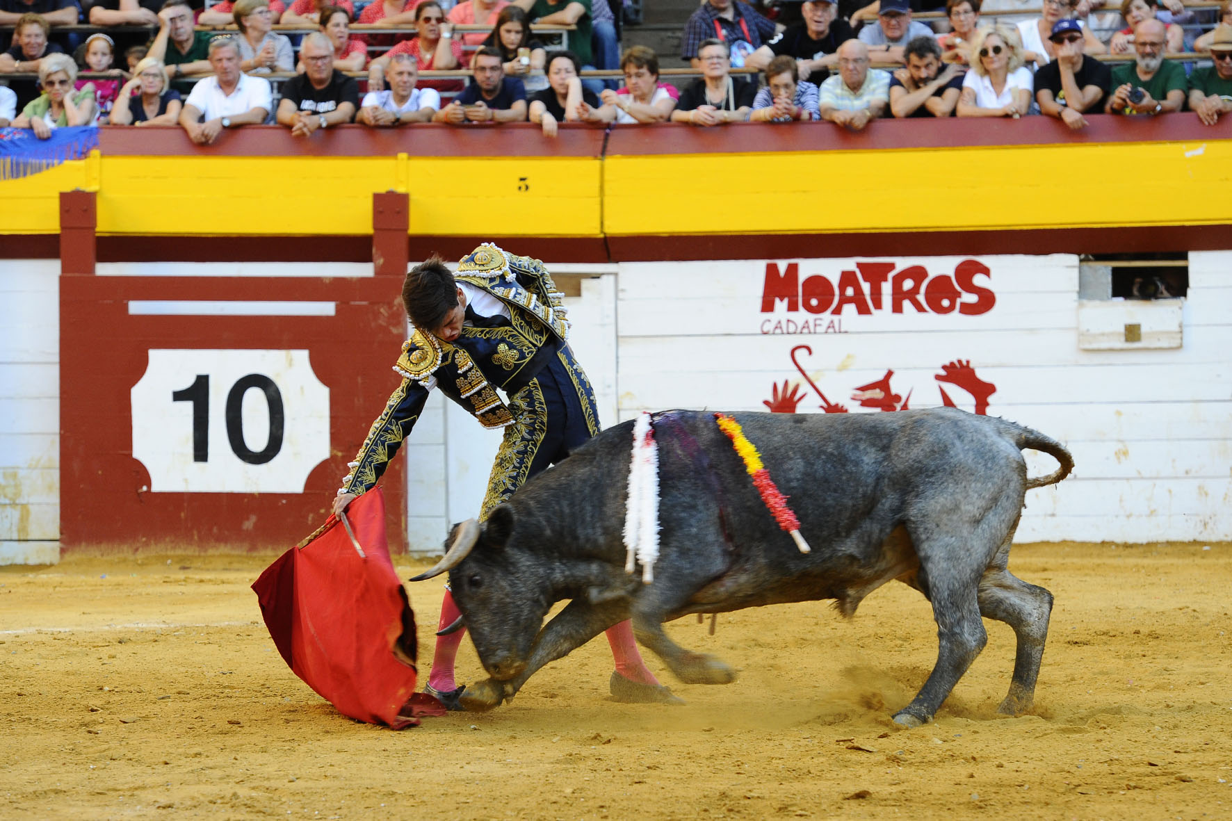 Algemesí (Valencia) - Novillada - Sábado 29 de septiembre de 2018