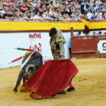 Algemesí (Valencia) - Novillada - Sábado 29 de septiembre de 2018