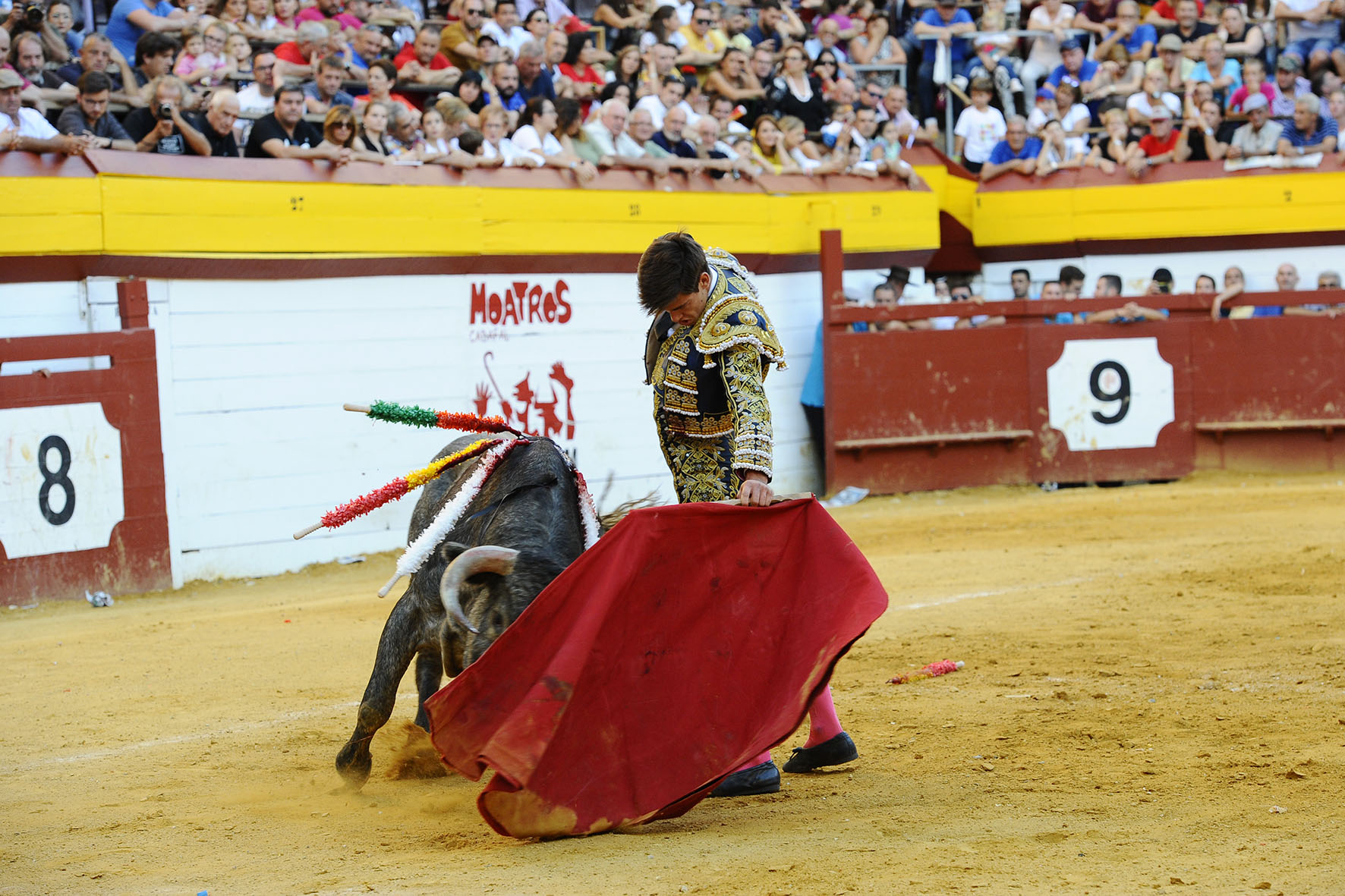 Algemesí (Valencia) - Novillada - Sábado 29 de septiembre de 2018