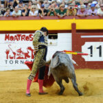 Algemesí (Valencia) - Novillada - Sábado 29 de septiembre de 2018
