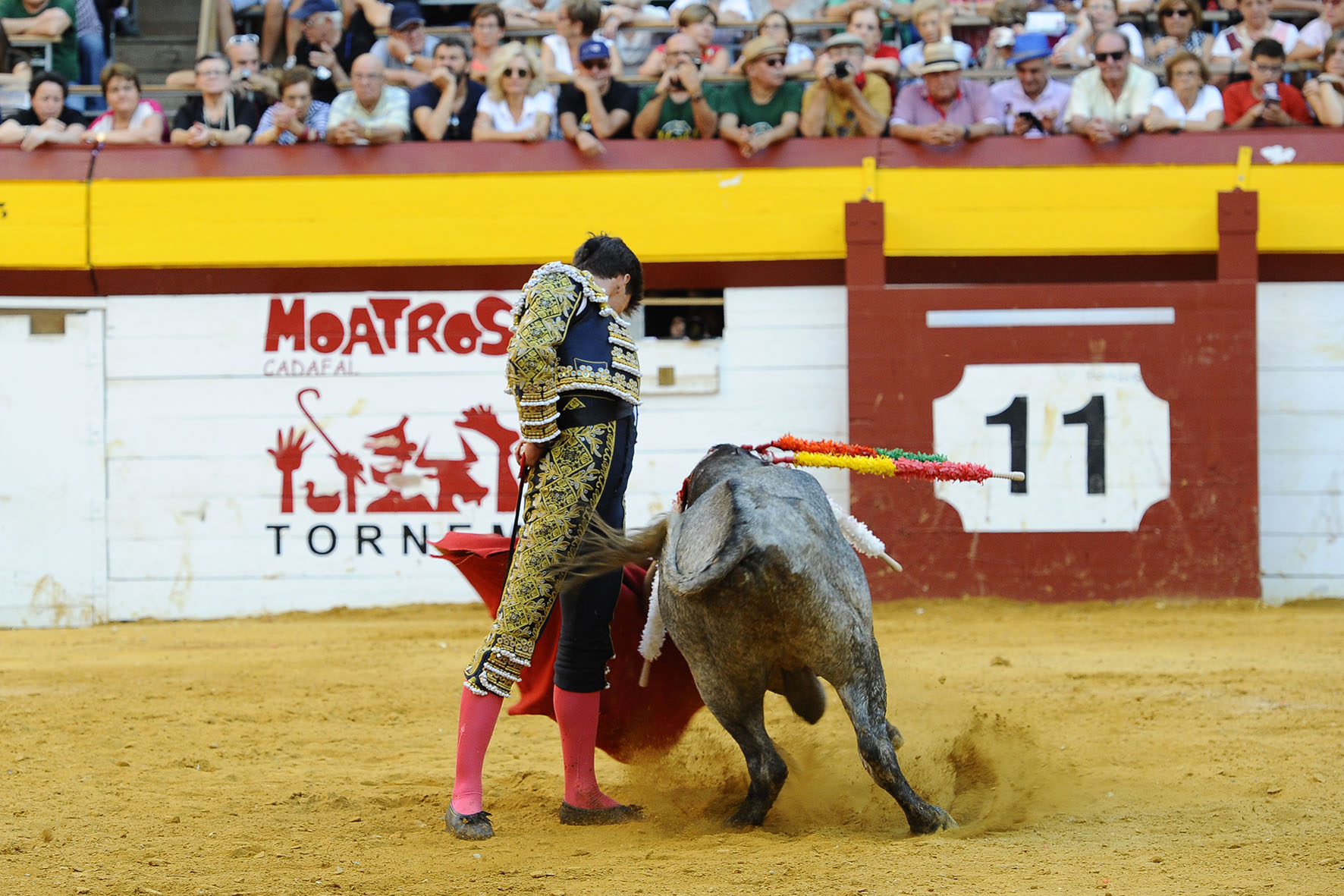 Algemesí (Valencia) - Novillada - Sábado 29 de septiembre de 2018