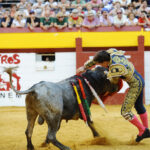 Algemesí (Valencia) - Novillada - Sábado 29 de septiembre de 2018