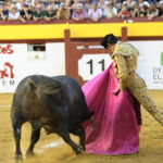 Algemesí (Valencia) - Novillada - Sábado 29 de septiembre de 2018