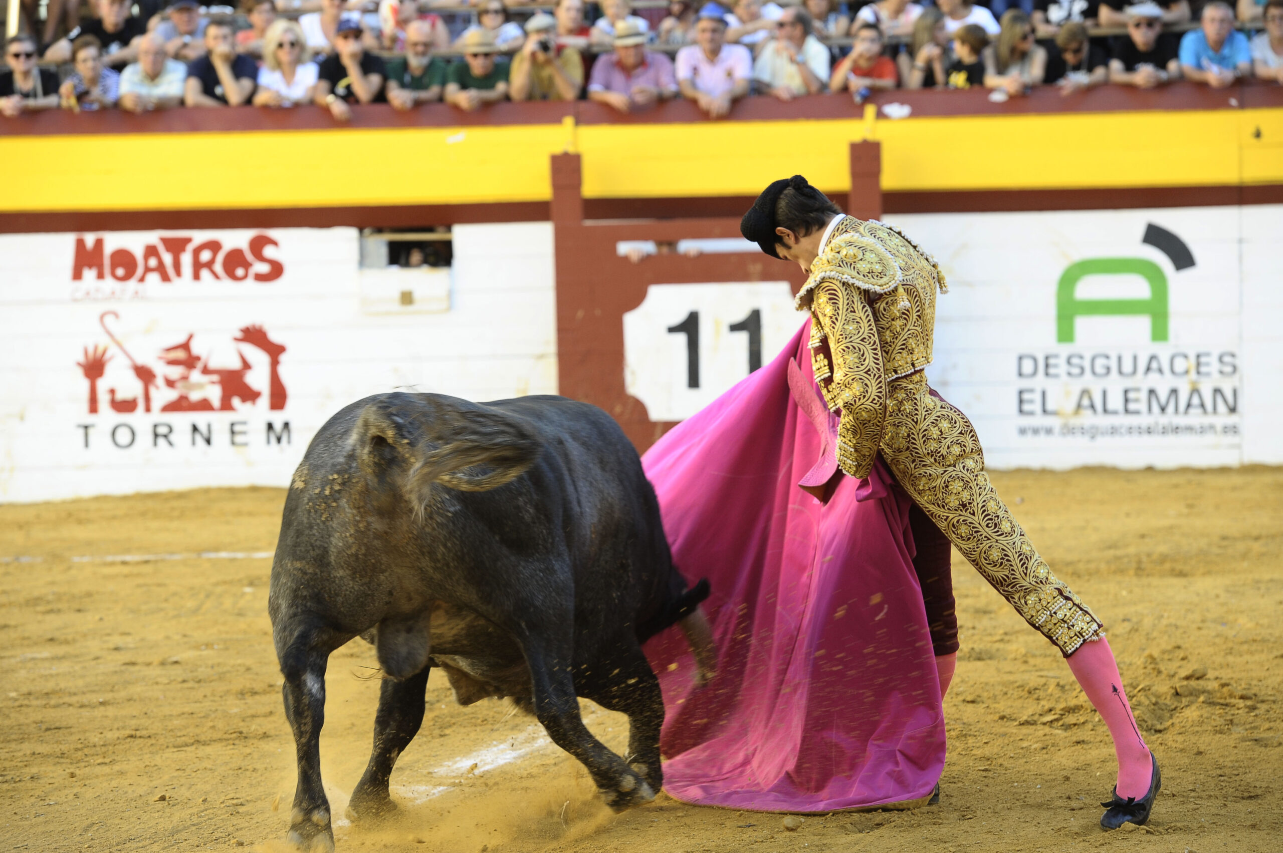 Algemesí (Valencia) - Novillada - Sábado 29 de septiembre de 2018