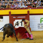 Algemesí (Valencia) - Novillada - Sábado 29 de septiembre de 2018