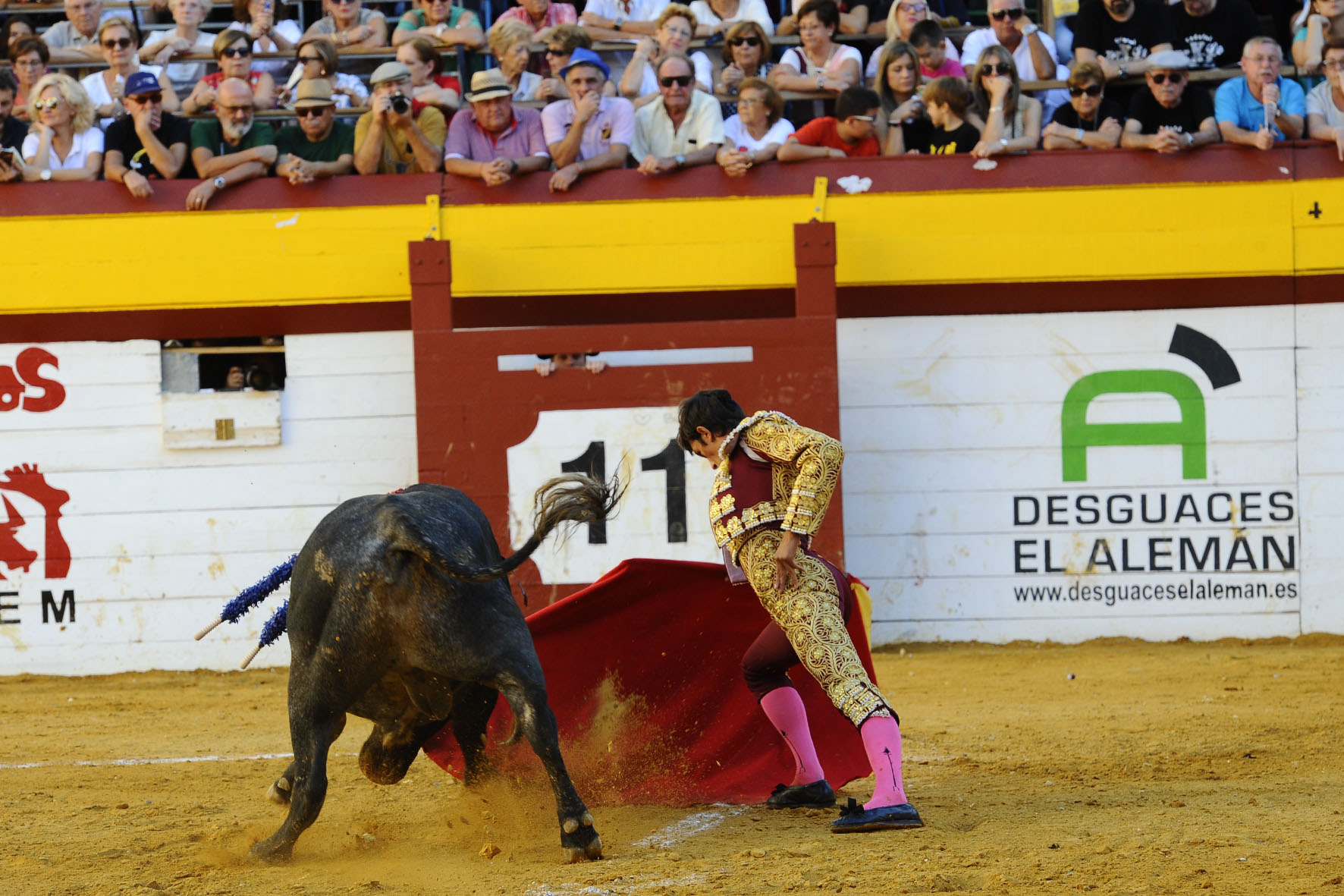 Algemesí (Valencia) - Novillada - Sábado 29 de septiembre de 2018