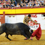 Algemesí (Valencia) - Novillada - Sábado 29 de septiembre de 2018